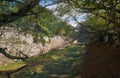 The outer moat of Nagoya castle. Nagoya. Japan Royalty Free Stock Photo