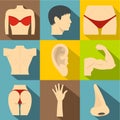 Outer part of body icons set, flat style