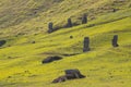 Outer slopes of Rano Raraku volcano with many moai. Rano Raraku is the quarry site where the moais were carved. Easter Island,