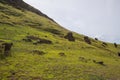 Outer slopes of Rano Raraku volcano with many moai. Rano Raraku is the quarry site where the moais were carved. Easter Island,