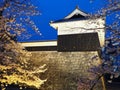 Outer wall of Kumamoto castle at night