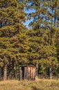 Outhouse at the Edge of the Forest Royalty Free Stock Photo