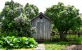 Outhouse Royalty Free Stock Photo