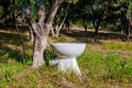 Outhouse toilet concept, bowl is placed in the forest above seas Royalty Free Stock Photo