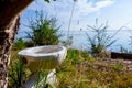 Outhouse toilet concept, bowl is placed in the forest above seas Royalty Free Stock Photo