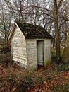 Outhouse in the Woods