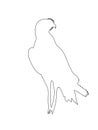 Outline of an african Chanting Goshawk