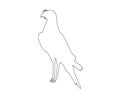 Outline of an african Chanting Goshawk