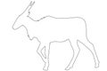 Outline of an african eland antelope