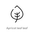 outline apricot leaf leaf vector icon. isolated black simple line element illustration from nature concept. editable vector stroke Royalty Free Stock Photo