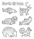 Outline Arctic animals set for coloring page