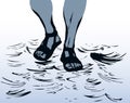 Legs walk on the water. Vector drawing