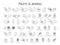 Outline black linear web icon set - Fruit & berries Thin bold Li