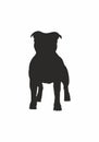 Vector isolated black silhouette of a dog Staffordshire Bull Terrier Royalty Free Stock Photo