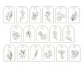 Outline boho simple flowers gift tags labels set, hand drawn doodle style floral vector illustration Royalty Free Stock Photo