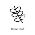 outline briar leaf vector icon. isolated black simple line element illustration from nature concept. editable vector stroke briar