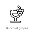 outline bunch of grapes vector icon. isolated black simple line element illustration from drinks concept. editable vector stroke