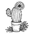 outline cactus coloring page, realistic cactus coloring page, cactus drawings, cactus line art