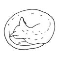 Outline cat sleeping in ball. Hand drawn contour vector illustration. Cute kitten for coloring book page, decoration, cards,