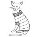 Outline cat in sweater sitting. Hand drawn contour vector illustration. Cute bold kitten in warm clothes for coloring