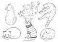 Outline cats in different poses set. Kitten in sweater, sitting, playing, sleeping. Hand drawn contour vector