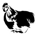 Outline chicken vector illustration