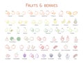 Outline colorful linear web icon set - Fruit & berries Thin bold