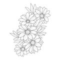 Outline Daisy flower drawing, Drawing daisy flower black and white. realistic daisy flower drawing, Daisy flower drawing.