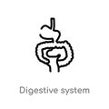 outline digestive system vector icon. isolated black simple line element illustration from human body parts concept. editable