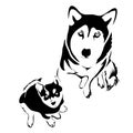 Outline dog and puppy husky top view