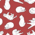 Outline domestic cat in different poses seamless pattern. Cozy home with kitten sitting, playing, sleeping. Hand drawn contour Royalty Free Stock Photo