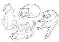 Outline domestic cat in different poses set. Exotic shorthair kitten sitting, playing, sleeping. Hand drawn contour