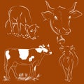 Outline drawing of bull collection. Vector illustration.