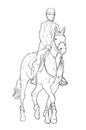 Outline drawing of female riding a horse, equestrian sports theme hand drawn illustration