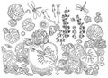 Outline drawing of ornamental plants and animals living in a forest lake