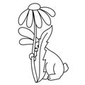 Outline Easter bunny hiding behind a flower, bunny and chamomile for festive activity for children, coloring page Royalty Free Stock Photo