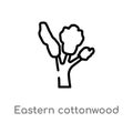 outline eastern cottonwood tree vector icon. isolated black simple line element illustration from nature concept. editable vector