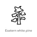 outline eastern white pine tree vector icon. isolated black simple line element illustration from nature concept. editable vector