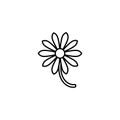 Outline flat icon of daisy flower with right side stem. Isolated on white. Vector illustration. Eco style. Royalty Free Stock Photo