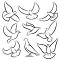 Outline flying doves, white birds and pigeons vector logos. Holy spirit, easter, love and peace design elements Royalty Free Stock Photo