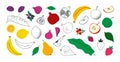 Outline fruit sketch. Color and line berry icons, hand drawn exotic monochrome apple, green kiwi and cherry. Banana and