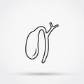 Outline gall bladder vector icon.