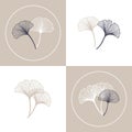 Outline ginkgo biloba leaves, postcard set, minimal design, pastel colors. Print, poster Royalty Free Stock Photo