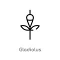 outline gladiolus vector icon. isolated black simple line element illustration from nature concept. editable vector stroke
