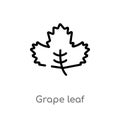 outline grape leaf vector icon. isolated black simple line element illustration from nature concept. editable vector stroke grape Royalty Free Stock Photo