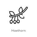 outline hawthorn vector icon. isolated black simple line element illustration from nature concept. editable vector stroke hawthorn