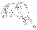Outline horse drawing Royalty Free Stock Photo