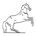 The outline of the horse on its hind legs Royalty Free Stock Photo