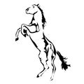 Outline horse vector image.