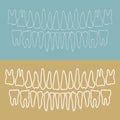 Human teeth illustration Royalty Free Stock Photo